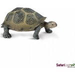 Safari Ltd. Želva pouštní – Zboží Mobilmania
