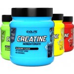 Evolite Creatine Monohydrate 500 g – Zboží Dáma