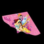 Günther DISNEY PRINCESS 115 x 63 cm – Hledejceny.cz