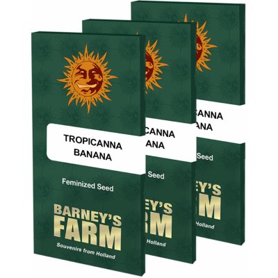 Barney's Farm Tropicanna Banana semena neobsahují THC 1 ks – Zboží Mobilmania