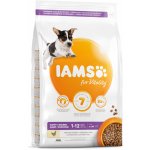 Iams Dog Puppy Small & Medium Chicken 3 kg – Hledejceny.cz