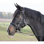 BUSSE Uzdečka ohlávka Solibel černá stainless steel – Zboží Dáma