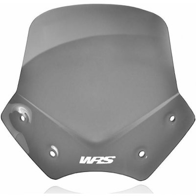 WSCRN SPORT R1200R DSMK BM046FS – Hledejceny.cz