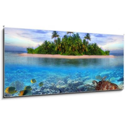 Skleněný obraz 1D - 120 x 50 cm - Marine life at tropical island of Maldives Mořský život na tropickém ostrově Maledivy – Zboží Mobilmania