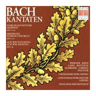 Johann Sebastian Bach - Kantaten Bwv 26,173,173a CD – Zboží Mobilmania