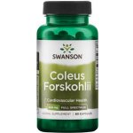 Swanson Coleus Forskohlii ForskolinAfrická Kopřiva 400 mg 60 kapslí – Zbozi.Blesk.cz