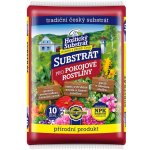 Forestina Hoštický pro pokojové rostliny 10 l – Zboží Dáma