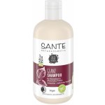 Santé Sante Šampón pro lesk Bio březový list a rostlinný protein 250 ml – Sleviste.cz