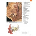 Anatomie člověka - fotografický atlas - 9. vydání - Johannes W. Rohen, Chihiro Yokochi, Elke Lütjen-Drecoll – Zboží Mobilmania