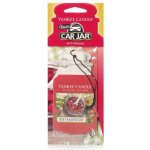 Yankee Candle Red Raspberry papírová visačka – Hledejceny.cz