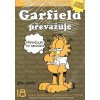 Komiks a manga Garfield -18- pravzuje – Davis Jim