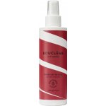 Boucleme Flexible Hold Hairspray 200 ml – Zboží Mobilmania