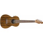 Fender Rincon – Hledejceny.cz