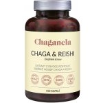Chaganela Extrakt čagy s reishi 150 kapslí – Hledejceny.cz