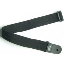 Planet Waves PWS1