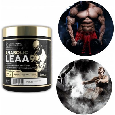 Kevin Levrone LEAA9 240 g – Hledejceny.cz