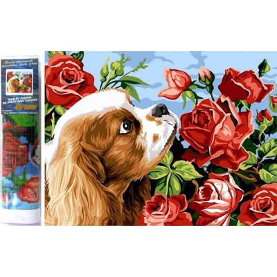 Norimpex Diamantové malování Kavalír king Charles španěl 30 x 40 cm – Zboží Mobilmania