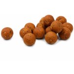 Karel Nikl boilies Ready Devil Krill 3kg 24mm – Hledejceny.cz