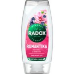 Radox Romantika Orchidej a borůvka sprchový gel 225 ml – Zbozi.Blesk.cz