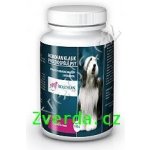 Univit Roboran Klasik dospělý psy plv 150 g – Hledejceny.cz
