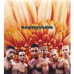Rammstein - Herzeleid Remastered 2021 CD – Hledejceny.cz