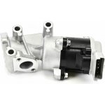 AGR-Ventil DELPHI EG10529-12B1 – Hledejceny.cz
