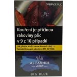 Al Fakher Big Blue 50 g – Zboží Mobilmania