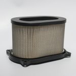 BIKETEC PARTS vzduchový filtr CAGIVA RAPTOR 650 00-05, SUZUKI SV650 99-02 – Hledejceny.cz