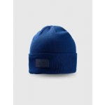 4F Unisex zimní čepice beanie s logem 4FWAW26ACAPM0835 Blue – Hledejceny.cz