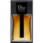 Christian Dior Intense 2011 parfémovaná voda pánská 100 ml – Zboží Mobilmania