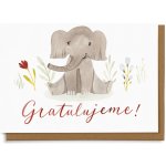 Chaukiss Gratulujeme - sloník – Hledejceny.cz