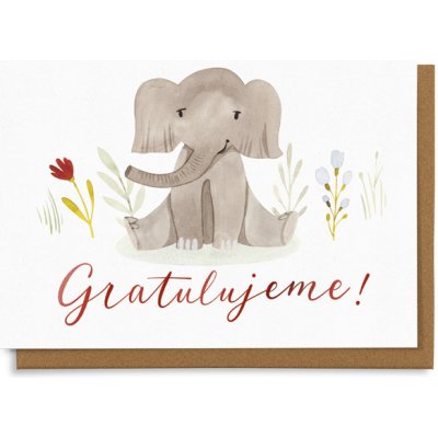 Chaukiss Gratulujeme - sloník – Hledejceny.cz