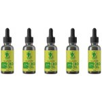 Green Fairy CBD olej full spectrum 20% 2000 mg 10 ml – Zboží Mobilmania