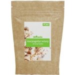 Botanic Harpagofyt ležatý bio 100 g – Hledejceny.cz