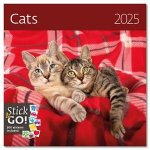 Nástěnný poznámkový Cats 2025 – Zboží Mobilmania