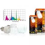 Hagen ExoTerra Repti Glo 10.0 13 W – HobbyKompas.cz