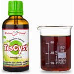 Bylinné kapky Bylinkářovo tajemství TesCyst tinktura 50 ml – Hledejceny.cz