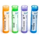 ARNICA MONTANA POR 9CH GRA 4G – Zboží Dáma