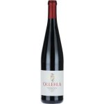 Oulehla Frankovka 2023 13% 0,75 l (holá láhev) – Hledejceny.cz