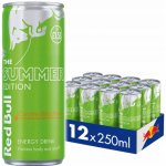 Red Bull The Green Edition Curuba-Elderflower 12 x 250 ml – Zboží Dáma