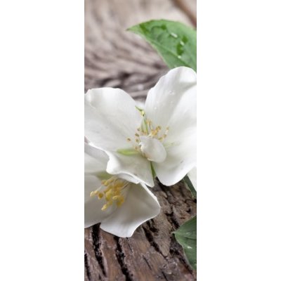 WEBLUX 66432530 Samolepka na lednici fólie Jasmine flowers over old wooden table. Jasmínové květiny nad starým dřevěným stolem. rozměry 80 x 200 cm – Zbozi.Blesk.cz