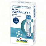 THUYA OCCIDENTALIS POR 9CH GRA 3X4G – Hledejceny.cz
