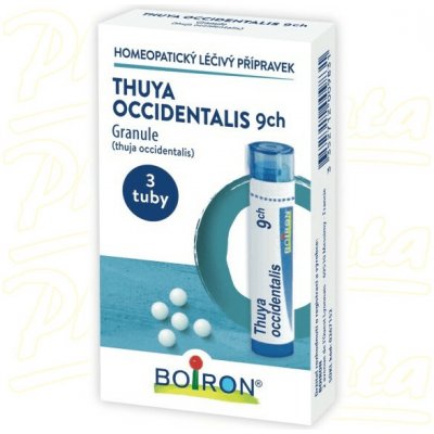 THUYA OCCIDENTALIS POR 9CH GRA 3X4G – Hledejceny.cz