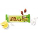 Bombus Raw BIO energy 50 g