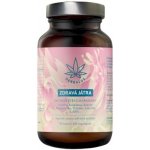 Herbalus Zdravá játra 90 ks – Hledejceny.cz