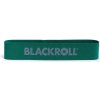 Švédská bedna Blackroll Loop Band 4,9 kg