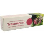 TRAUMAPLANT DRM UNG 100G – Zboží Mobilmania