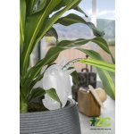 Bördy 220ml 087 M čirý – Hledejceny.cz