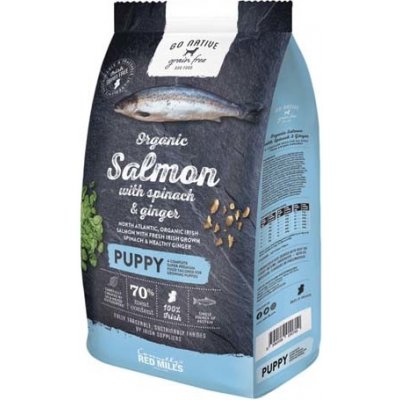 GO NATIVE Puppy Salmon with Spinach and Ginger 4kg s obsahem až 70% masa z lososa