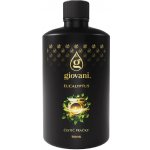 Giovani Čistič pračky Eucalyptus 500 ml – Hledejceny.cz